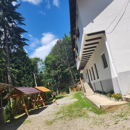 Cabana Valea Bradului Nucşoara Exterior foto