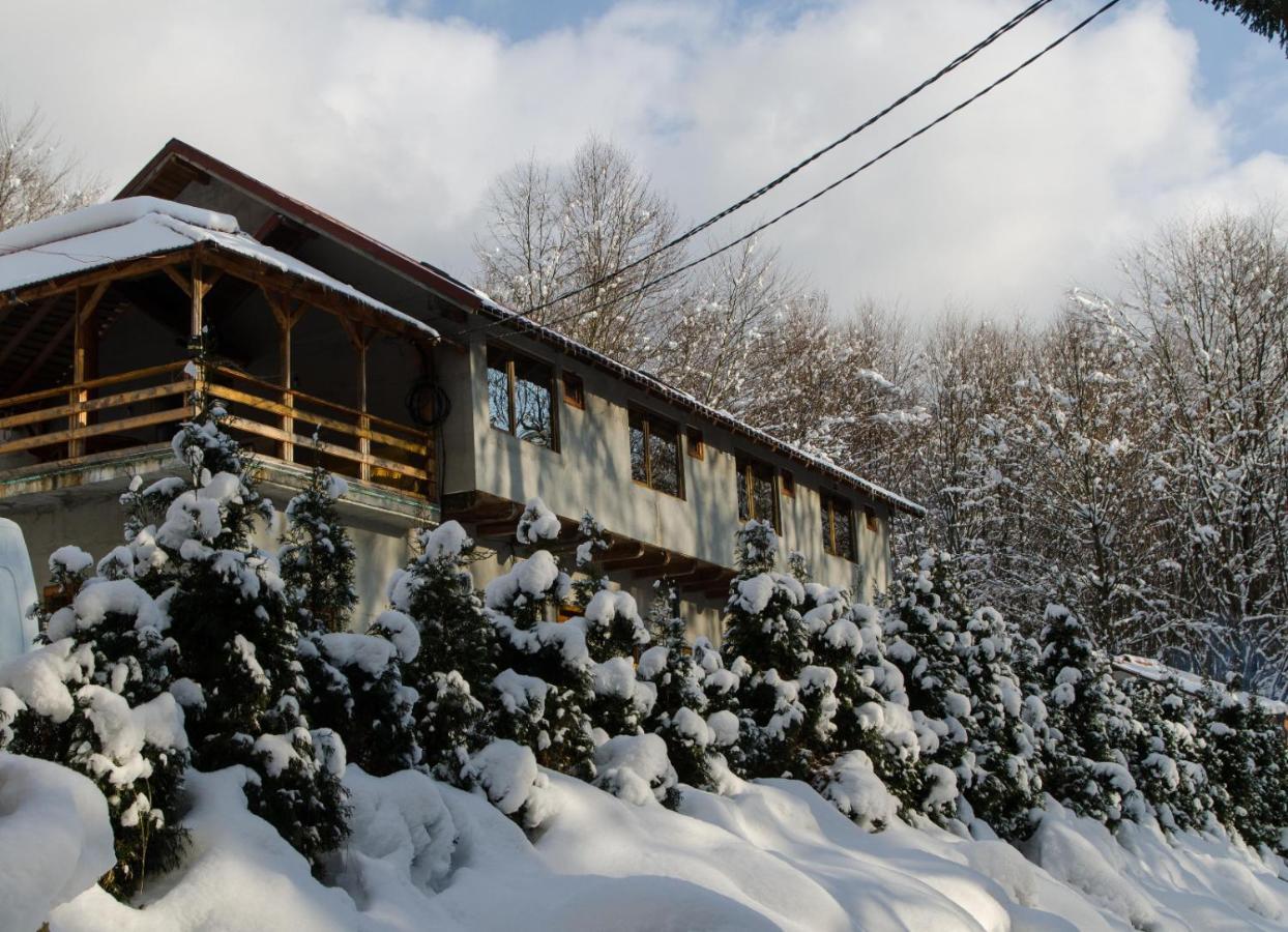 Cabana Valea Bradului Nucşoara Exterior foto